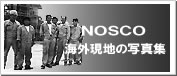 NOSCO̊COhʐ^W